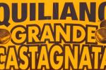 GRANDE CASTAGNATA A QUILIANO